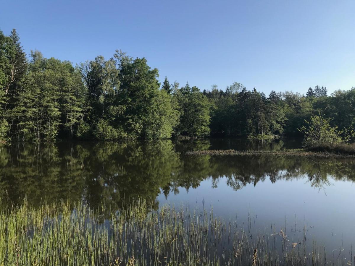 Gite Des Prary Des Mille Etangs Ternuay-Melay-et-Saint-Hilaire 外观 照片