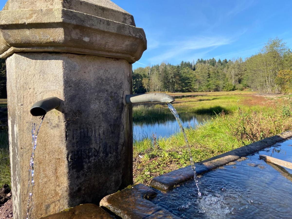 Gite Des Prary Des Mille Etangs Ternuay-Melay-et-Saint-Hilaire 外观 照片