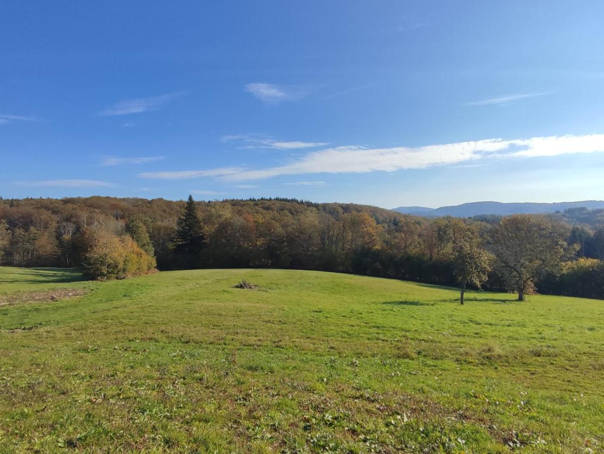 Gite Des Prary Des Mille Etangs Ternuay-Melay-et-Saint-Hilaire 外观 照片