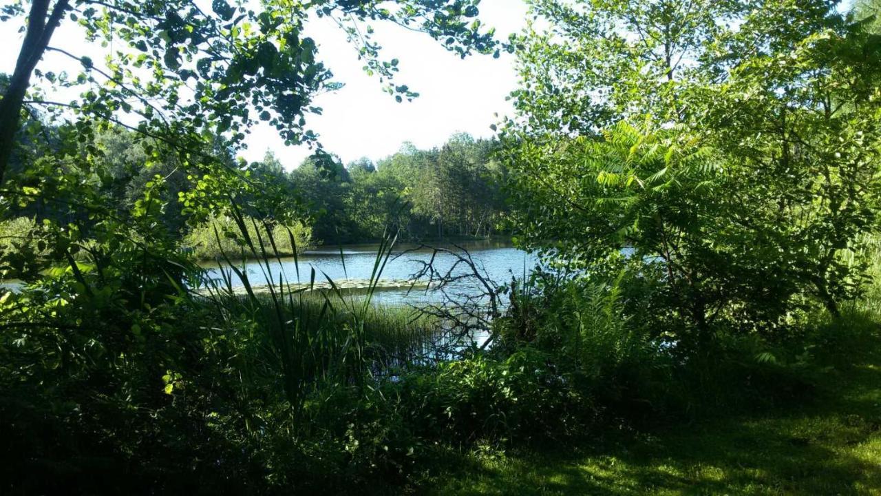 Gite Des Prary Des Mille Etangs Ternuay-Melay-et-Saint-Hilaire 外观 照片